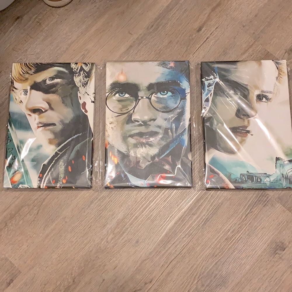 Harry Potter Ronald Weasley Hermione Granger print on canvas 3-piece wall art